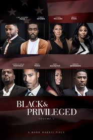 Black & Privileged: Volume 1 (2019) subtitles - SUBDL poster