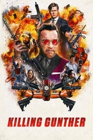 Killing Gunther (2017) subtitles - SUBDL poster