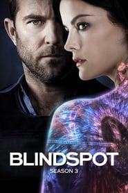 Blindspot