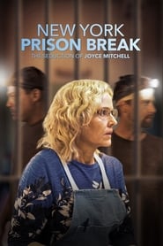 NY Prison Break: The Seduction of Joyce Mitchell (2017) subtitles - SUBDL poster