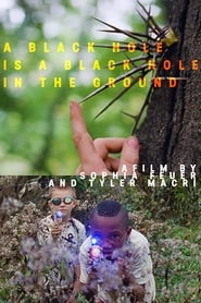 A Black Hole is a Black Hole in the Ground (2018) subtitles - SUBDL poster