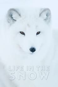 Life In The Snow Arabic  subtitles - SUBDL poster