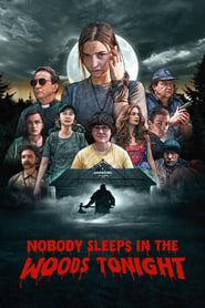 Nobody Sleeps in the Woods Tonight (2020) subtitles