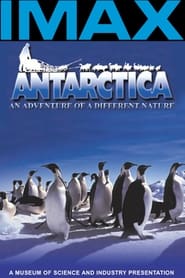 Antarctica: An Adventure of a Different Nature Arabic  subtitles - SUBDL poster