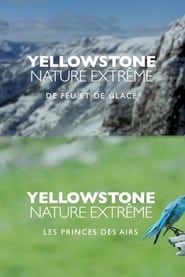 Epic Yellowstone