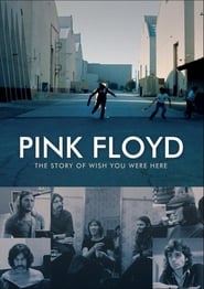 Pink Floyd: The Story of Wish You Were Here (2012) subtitles