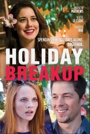 Holiday Breakup English  subtitles - SUBDL poster
