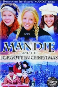 Mandie and the Forgotten Christmas (2011) subtitles - SUBDL poster