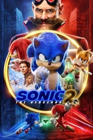 Sonic the Hedgehog 2 (2022) subtitles - SUBDL poster