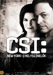 CSI: NY