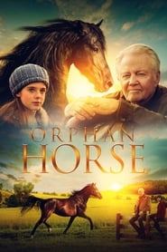 Orphan Horse (2018) subtitles - SUBDL poster