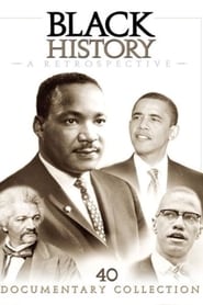 Black History: A Retrospective (2009) subtitles - SUBDL poster