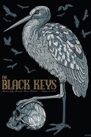 The Black Keys: Live At Austin City Limits (2015) subtitles - SUBDL poster