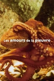 The Love Life of an Octopus (1967) subtitles