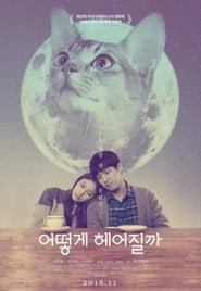 How to Break up with My Cat (2016) subtitles - SUBDL poster
