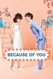 Because of You (2017) subtitles - SUBDL poster