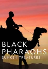 Black Pharaohs: Sunken Treasures Norwegian  subtitles - SUBDL poster