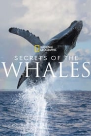 Secrets of the Whales