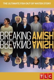 Breaking Amish (2012) subtitles - SUBDL poster