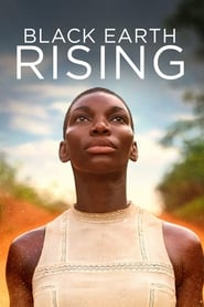 Black Earth Rising (2018) subtitles - SUBDL poster