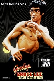 Goodbye Bruce Lee: His Last Game of Death (1975) subtitles