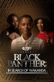 20/20 Presents Black Panther: In Search of Wakanda Japanese  subtitles - SUBDL poster