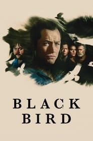 Black Bird Korean  subtitles - SUBDL poster
