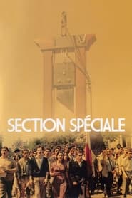 Section spéciale (Special Section)