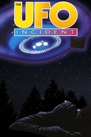 The UFO Incident (1975) subtitles