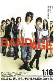Bandage (2010) subtitles - SUBDL poster