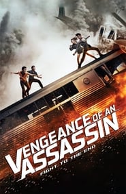 Vengeance of an Assassin Czech  subtitles - SUBDL poster
