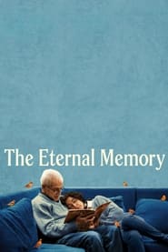 The Eternal Memory (2023) subtitles