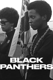 Black Panthers (2020) subtitles - SUBDL poster
