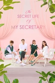 The Secret Life of My Secretary (2019) subtitles - SUBDL poster