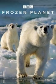 Frozen Planet (2011) subtitles