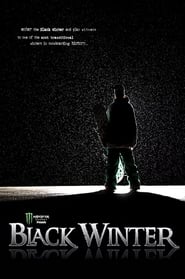 Black Winter (2009) subtitles - SUBDL poster