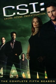 CSI: Crime Scene Investigation Korean  subtitles - SUBDL poster