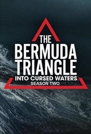 The Bermuda Triangle: Into Cursed Waters