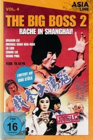 Dragon Bruce Lee, Part II (1981) subtitles