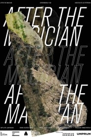 After the Magician (2020) subtitles - SUBDL poster