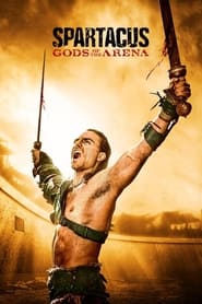 Spartacus: Gods of the Arena (2011) subtitles - SUBDL poster