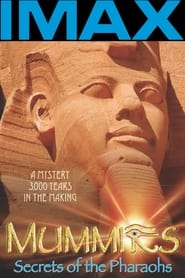 IMAX Mummies Secrets Of The Pharaohs (2007) subtitles