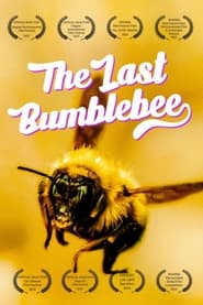 The Last Bumblebee Farsi_persian  subtitles - SUBDL poster