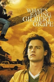 What's Eating Gilbert Grape Romanian  subtitles - SUBDL poster