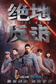 Strike Back (2020) subtitles - SUBDL poster