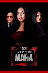 Families of the Mafia (2020) subtitles - SUBDL poster
