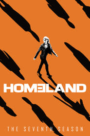 Homeland Dutch  subtitles - SUBDL poster