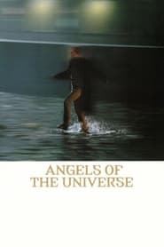 Angels of the Universe (Englar alheimsins) (2000) subtitles - SUBDL poster