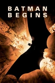 Batman Begins (2005) subtitles