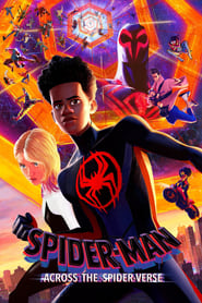 Spider-Man: Across the Spider-Verse Arabic  subtitles - SUBDL poster